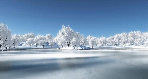 ����ѩ�Ķ�������