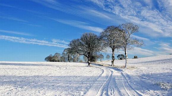 ����ѩ�Ķ�������