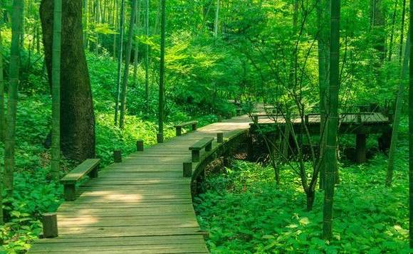 �Ĵ��������ӵķ���