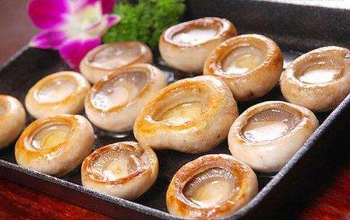 ��Ģ�Ĵ�˵����