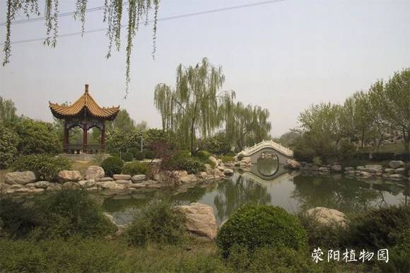 ������ʷ�Ļ�