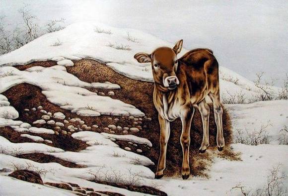 ���������ӻ�