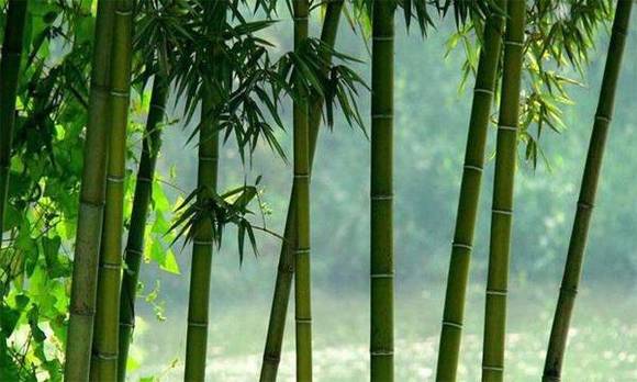 Ϊ�Ρ��꺮���ѡ����������ľ��ӡ��ж�����