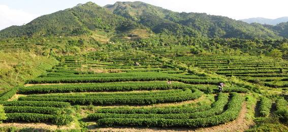 ��������Ĵ�˵