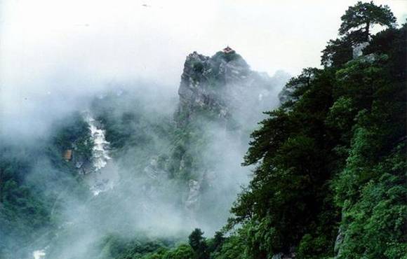 �й�50�������Ų��� ���������й�����