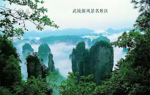 �й�50�������Ų��� ���������й�����