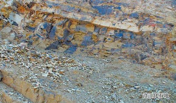 �й�50�������Ų��� ���������й�����