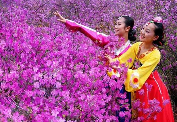 ������������˵