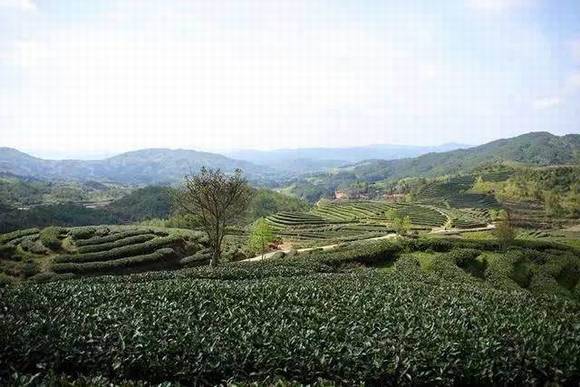 ��Ϯǧ������Ͳ�ϰ��