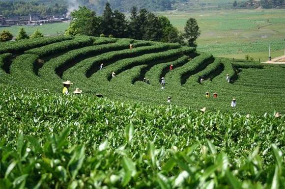 ��Ϯǧ������Ͳ�ϰ��