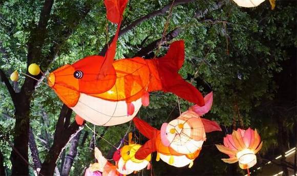 �����»����