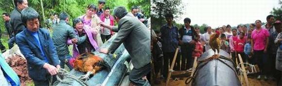 ����ȥ��Ϊʲô�ù���