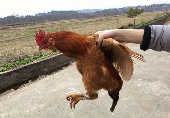 ����ȥ��Ϊʲô�ù���