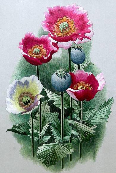 �������Դ�ͷ�չ