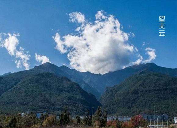 �������������ƵĴ�˵