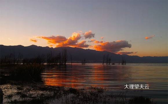 �������������ƵĴ�˵