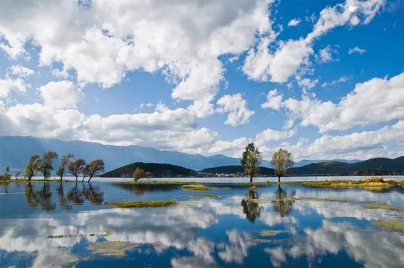 ���������������Ů