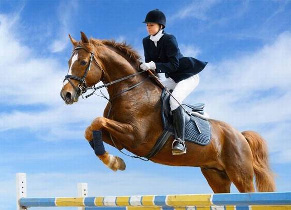 ���� �����ϵĹ����˶�