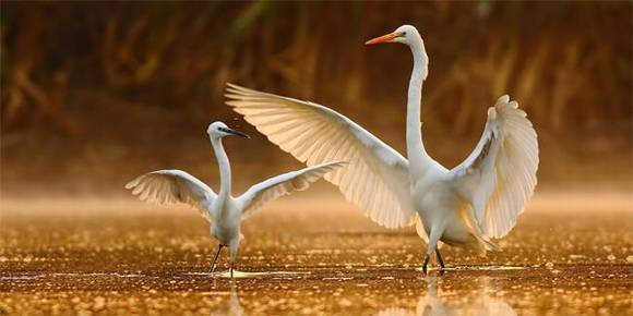 ���������л�/����/����