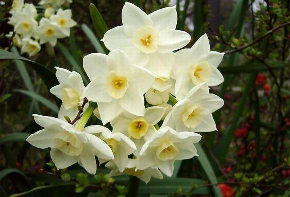 �㽭��ɽ���л�/����