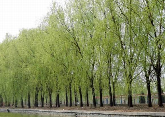 ���������л�/����