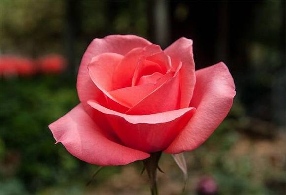 ����л�/����/����