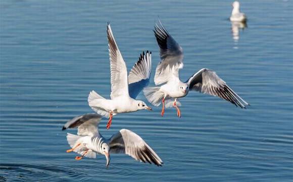 ����л�/����/����