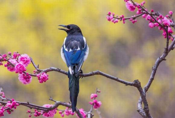 �Ϻ��л�/����/����