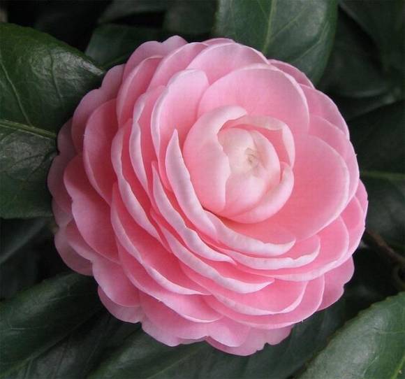 �����л�/����