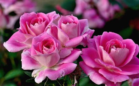 �����л�/����