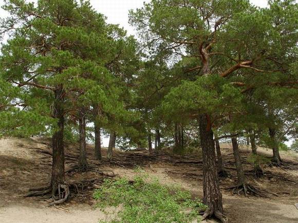 �����л�/����