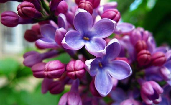 �������л�/����