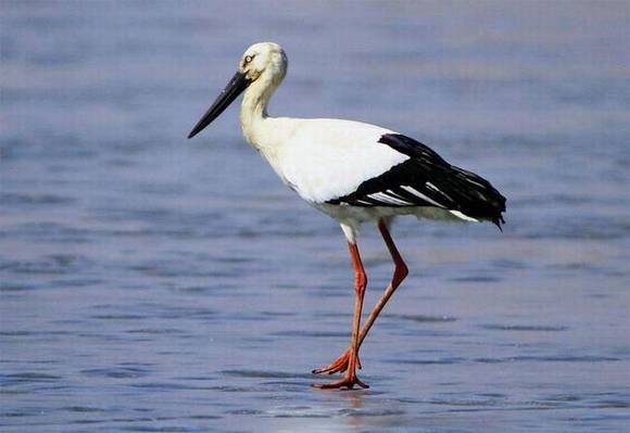 ��ľ˹�л�/����/����