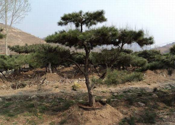 �����л�/����