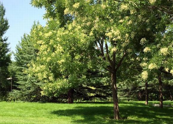 �����л�/����