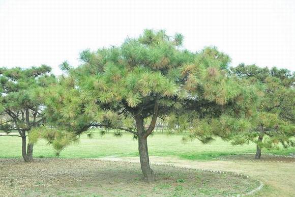 ���ͺ����л�/����