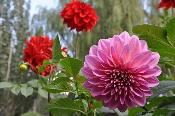 ��ͷ�л�/����/�л�/��������