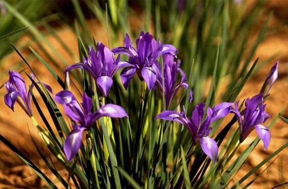 �����л�/����/����/�л�/�и�