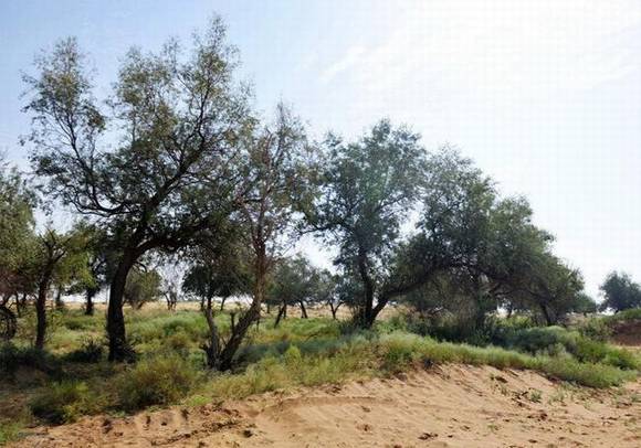 �����л�/����/����/�л�/�и�