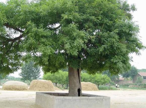 �����л�/����