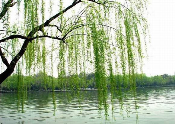 �������л�/����