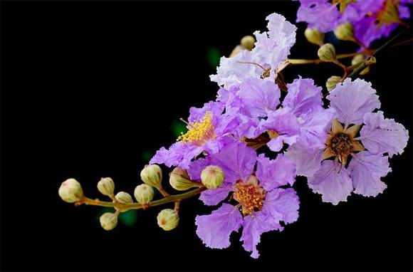 �����л�