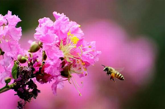 ̫ԭ�л�/����