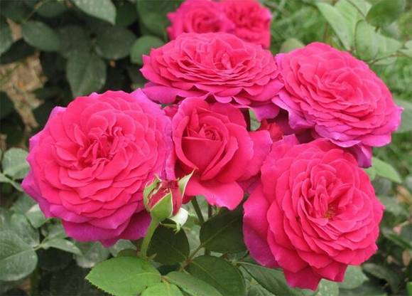 �����л�/����/��־