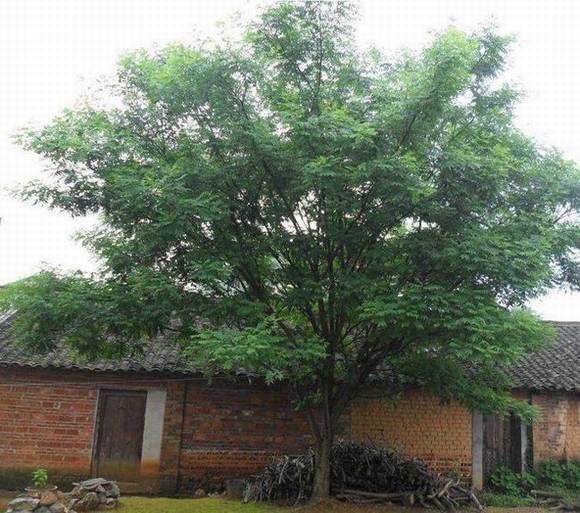 ��ͬ�л�/����