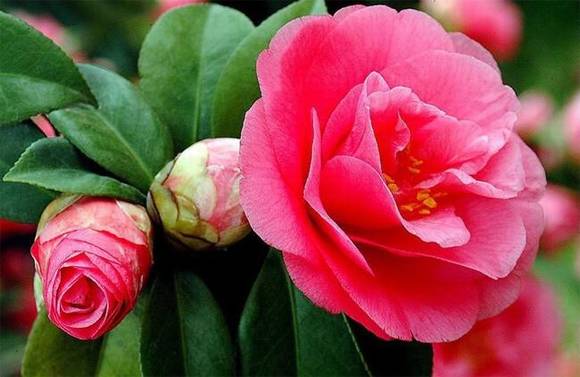 �ൺ�л�/����