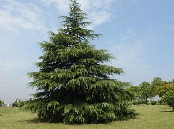 �ൺ�л�/����