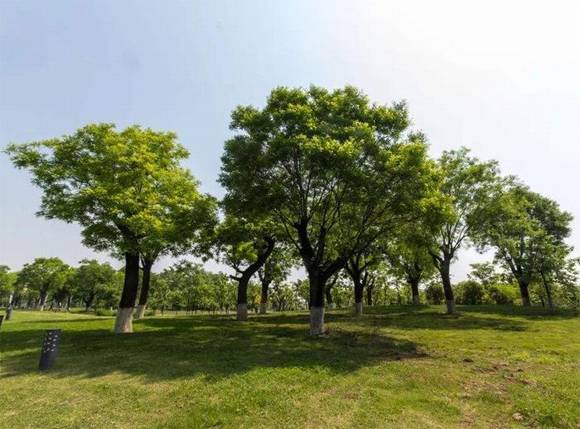 �����л�/����