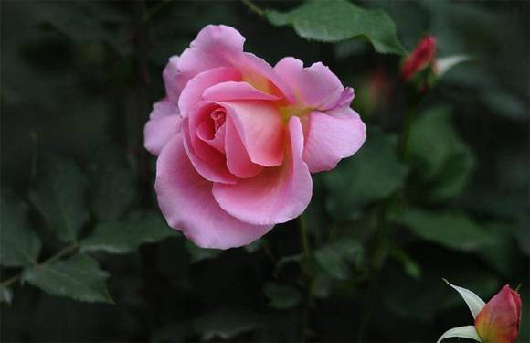 �����л�/����