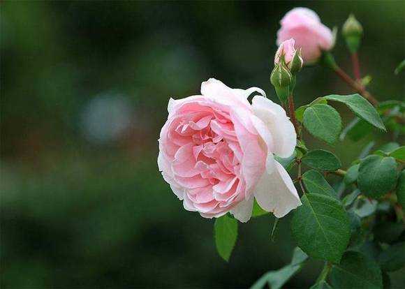 ������л�